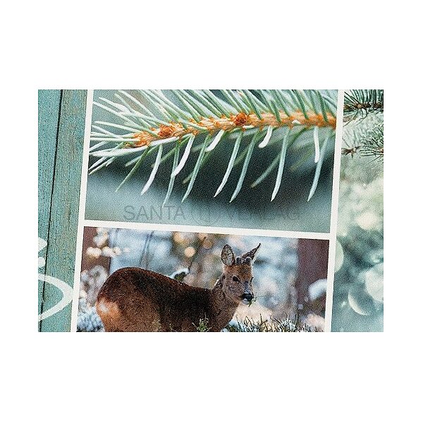 Bild 2 - Wintercollage (Spendenweihnachtskarte Kindernothilfe Schweiz)