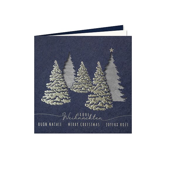 Bild 1 - Silberne Pracht (internationale Weihnachtswnsche)