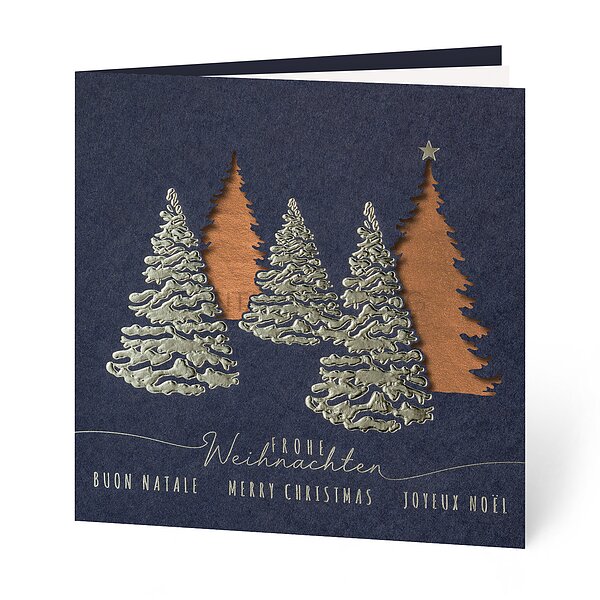 Bild 1 - Silberne Pracht (internationale Weihnachtswnsche)