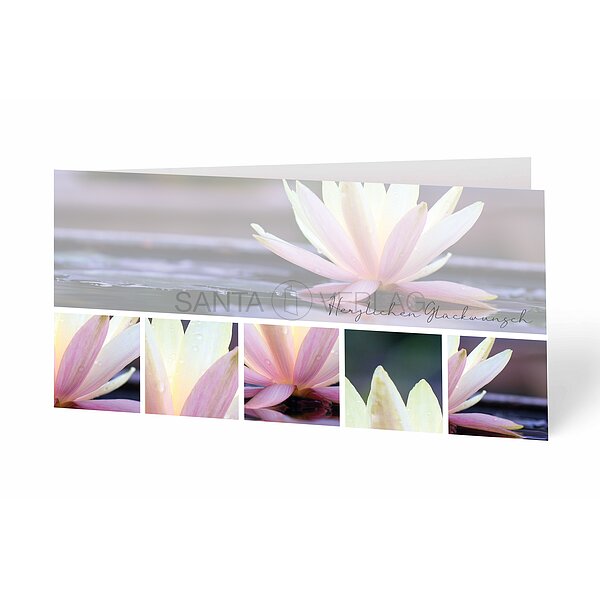 Bild 1 - Gl�ckwunschkarte Seerose