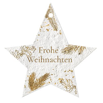 Sternanhnger (Samenpapier Geschenke-Anhnger)